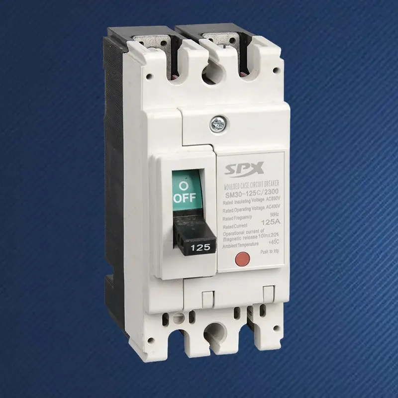 2P 125A قاطع الدائرة المقولب